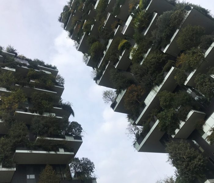 bosco verticale